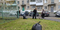 Чистый двор - Новолялинская ЦБС