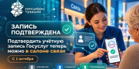 Подтвердить учётную запись на Госуслугах теперь можно в салонах связи - Министерство информационной политики