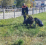 МБУ «УМИ» продолжает преображать городские пространства - Карасукский район