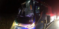 В Новосибирской области произошло смертельное ДТП с участием рейсового автобуса - Газета Красноярский рабочий