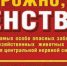 МЕРЫ ПРОФИЛАКТИКИ ПРОТИВ БЕШЕНСТВА - Тамалинский район