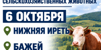 Важная информация для владельцев сельскохозяйственных животных. - Администрация Черемховского района
