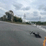 В Тульской области водитель электровелосипеда столкнулся с Daewoo - ТК Первый Тульский