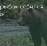 Поделитья во ВКонтакте - Братская Студия Телевидения