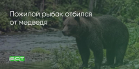 Поделитья во ВКонтакте - Братская Студия Телевидения