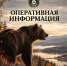 Оперативная информация - Служба по охране и использованию объектов животного мира