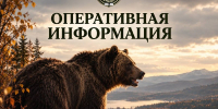 Оперативная информация - Служба по охране и использованию объектов животного мира
