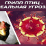 Грипп птиц. - Поспелихинский район
