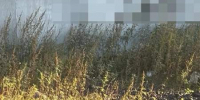 Двое норильчан задержаны за рекламирование интернет-магазина по сбыту наркотиков - Газета Красноярский рабочий
