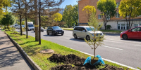 Фото: Администрация Владивостока - НИА Владивосток
