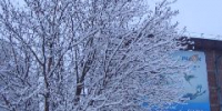 Дождь, снег, сильный ветер, отложение мокрого снега: кузбассовцев предупреждают о скором ухудшении погоды - ИА Город Новостей