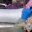 Военный убил целую семью и пытался вывезти расчлененные тела 18+ - Gubdaily.Ru