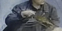 JPEG Файл - УМВД Тюменской области