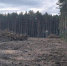 Новое здание Верховажской ЦРБ построят до конца 2028 года - Региональное Агентство Новостей