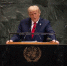 Трамп одобрил казнь американца, расстрелявшего 13 человек - РТВ-Подмосковье
