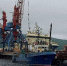 Россельхознадзор проверил 743,4 тонны мурманской рыбопродукции - SeverPost.ru