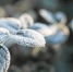 В Алтайском крае объявили штормовое предупреждение из-за непогоды - Bankfax.Ru