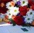 DSC06188.JPG - Администрация Уссурийского городского округа