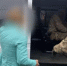 В Поморье заключили под стражу тётку, финансировавшую террористическую организацию - Tv29.Ru
