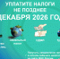 1 декабря 2026 года — крайний срок уплаты налогов!. - Администрация г. Вятские Поляны