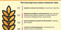 Подготовка семян к севу должна начинаться с фитоэкспертизы - Калтасинский район