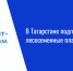 В Татарстане подготовили 10 га под лесосеменные плантации - Нурлат-⁠информ