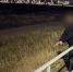 JPEG Файл - ОМВД "Оренбургское" 