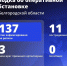 11 мирных жителей пострадали при атаках ВСУ на Белгородскую область за минувшие сутки - Сетевое издание Ясный ключ