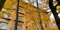 Тыловая часть циклона заставит петербуржцев пережить неприятный вторник - Neva.Today