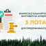 Минлесхоз Башкортостана выставил на аукционы 3 лота для предпринимателей - Министерство лесного хозяйства