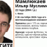 Мамлюков - РИА Омск-информ