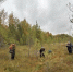Фото: Полистовский заповедник - InformPskov.Ru