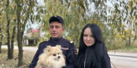 В Великих Луках полицейский спас шпица от нападения агрессивной овчарки - Pln-Pskov.Ru