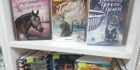 Книжная выставка «Заходи на новенькое!» - ЦБС г. Зверево