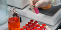 Российские ученые создали первую отечественную вакцину против инфекционной анемии цыплят - Брянская улица