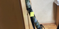 Двое жителей Мурома задержаны за незаконную охоту на лося - Комсомольская правда