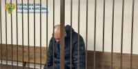 Задержанного в Воронежской области 47-летнего мужчину, расчленившего сожительницу, заключили под стражу - РИА Воронеж