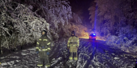 Аварийно-спасательные работы 206 ПСЧ - Кушвинский городской округ