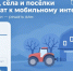 Еще в трех населенных пункта Пуровского района могут провести мобильный интернет - Комсомольская Правда