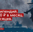 Томских студентов приглашают побороться за стипендию Президентского фонда природы - NIATomsk.Ru