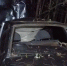 Автомобилист погиб после столкновения с лошадью в Краснобаковском округе - Нижегородская правда