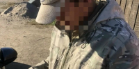 В Туве на нерадивых хозяев домашних животных наложено почти 70 тыс рублей штрафов - ИА Тува-Онлайн