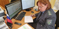 Зачем нужно «гасить» ветдокументы и ошибки тверских организаций - Газета Вся Тверь