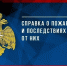 Справка о пожарах и последствиях от них за 9 месяцев 2026 года - МЧС Псковской области
