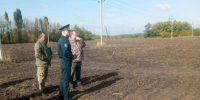 Новые плантации дуба и сосны появятся в Белгородской области - Сетевое издание Знамя 31