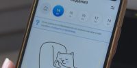 Родители костромских школьников отмечают массовые сбои в работе электронных дневников - ГТРК Кострома