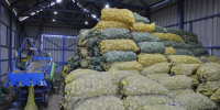 90 тысяч тонн картофеля собрали аграрии Хабаровского края - ИА Хабаровский край сегодня