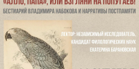 i_41_0.jpg - Омский портал Культура