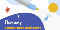 Вакцинация против сезонного гриппа - Терский район