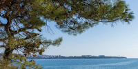 Какая температура Черного моря на курортах Краснодарского края - Кубанские Новости